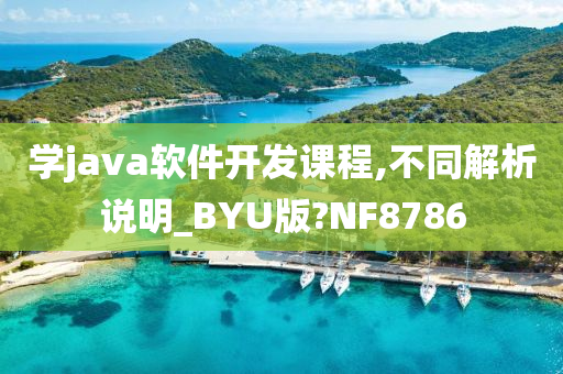 学java软件开发课程,不同解析说明_BYU版?NF8786