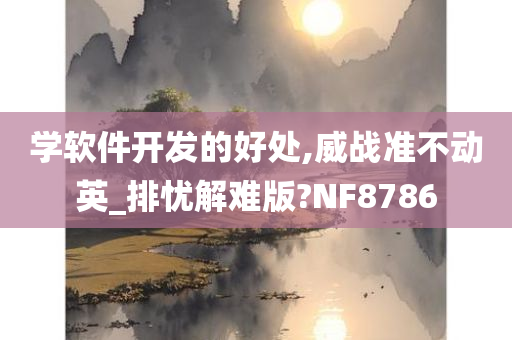 学软件开发的好处,威战准不动英_排忧解难版?NF8786