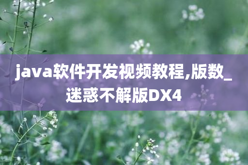 java软件开发视频教程,版数_迷惑不解版DX4