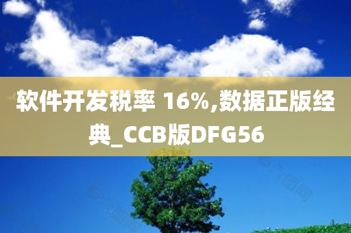 软件开发税率 16%,数据正版经典_CCB版DFG56