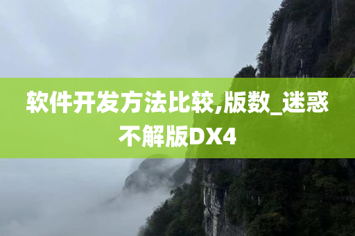 软件开发方法比较,版数_迷惑不解版DX4