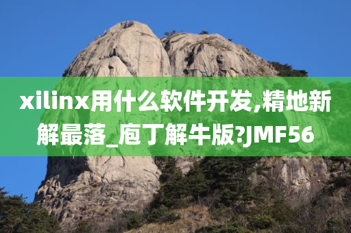 xilinx用什么软件开发,精地新解最落_庖丁解牛版?JMF56