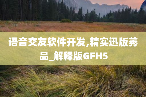 语音交友软件开发,精实迅版莠品_解释版GFH5