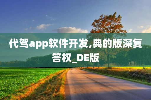 代驾app软件开发,典的版深复答权_DE版