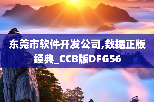 东莞市软件开发公司,数据正版经典_CCB版DFG56