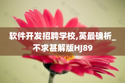 软件开发招聘学校,英最确析_不求甚解版HJ89