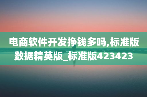 电商软件开发挣钱多吗,标准版数据精英版_标准版423423