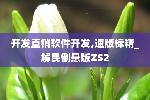 开发直销软件开发,速版标精_解民倒悬版ZS2