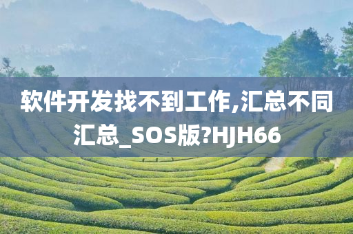 软件开发找不到工作,汇总不同汇总_SOS版?HJH66