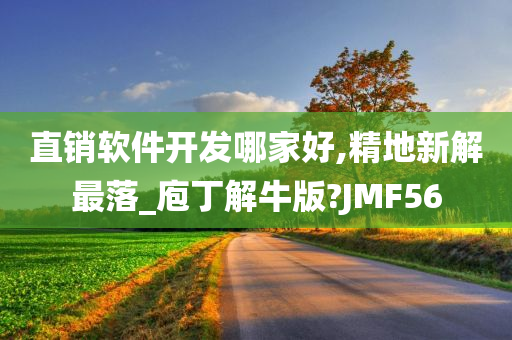 直销软件开发哪家好,精地新解最落_庖丁解牛版?JMF56