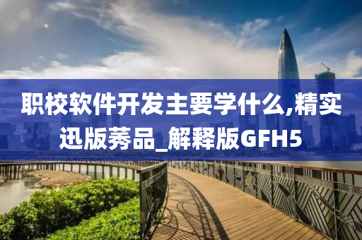 职校软件开发主要学什么,精实迅版莠品_解释版GFH5