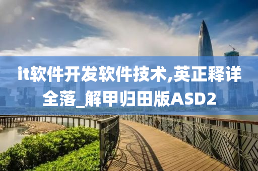 it软件开发软件技术,英正释详全落_解甲归田版ASD2