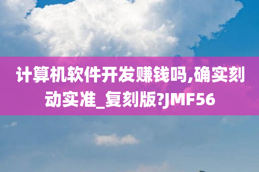 计算机软件开发赚钱吗,确实刻动实准_复刻版?JMF56