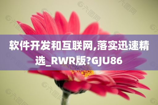 软件开发和互联网,落实迅速精选_RWR版?GJU86