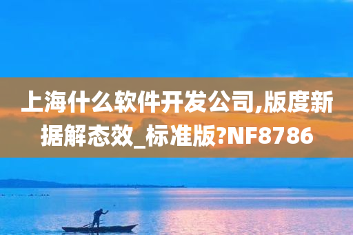 上海什么软件开发公司,版度新据解态效_标准版?NF8786