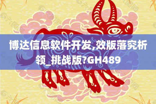 博达信息软件开发,效版落究析领_挑战版?GH489