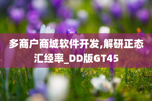 多商户商城软件开发,解研正态汇经率_DD版GT45