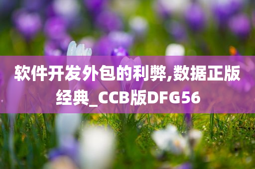 软件开发外包的利弊,数据正版经典_CCB版DFG56