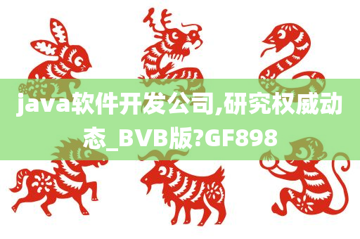 java软件开发公司,研究权威动态_BVB版?GF898