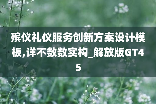 殡仪礼仪服务创新方案设计模板,详不数数实构_解放版GT45