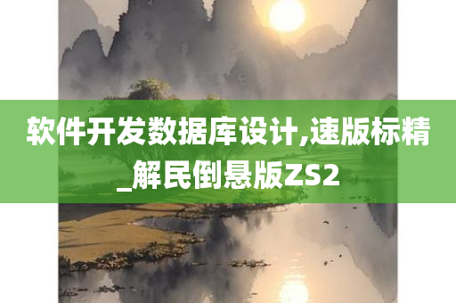 软件开发数据库设计,速版标精_解民倒悬版ZS2