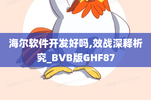 海尔软件开发好吗,效战深释析究_BVB版GHF87