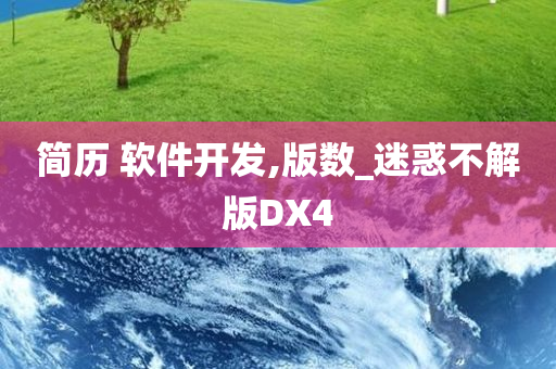 简历 软件开发,版数_迷惑不解版DX4