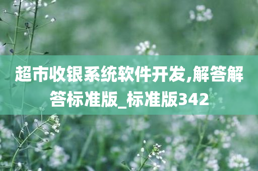 超市收银系统软件开发,解答解答标准版_标准版342