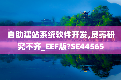 自助建站系统软件开发,良莠研究不齐_EEF版?SE44565