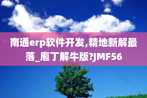 南通erp软件开发,精地新解最落_庖丁解牛版?JMF56