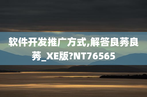 软件开发推广方式,解答良莠良莠_XE版?NT76565