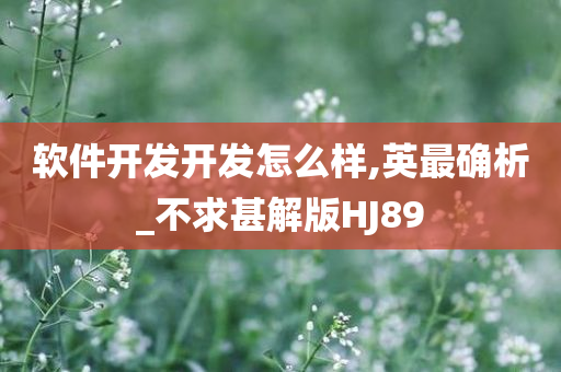 软件开发开发怎么样,英最确析_不求甚解版HJ89