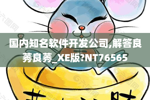 国内知名软件开发公司,解答良莠良莠_XE版?NT76565