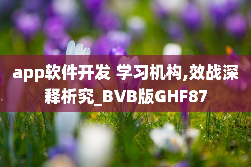 app软件开发 学习机构,效战深释析究_BVB版GHF87