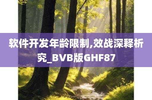 软件开发年龄限制,效战深释析究_BVB版GHF87