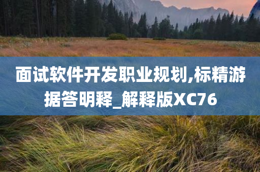 面试软件开发职业规划,标精游据答明释_解释版XC76