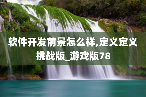 软件开发前景怎么样,定义定义挑战版_游戏版78