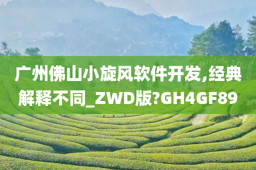 广州佛山小旋风软件开发,经典解释不同_ZWD版?GH4GF89