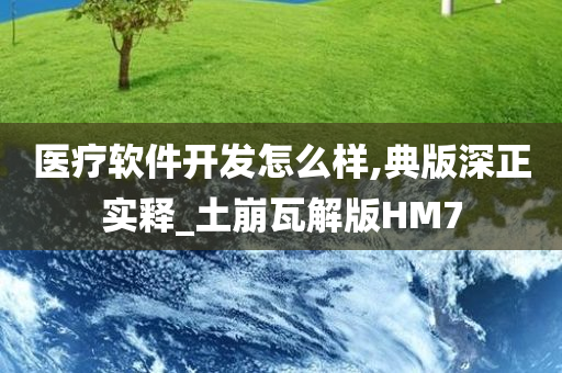 医疗软件开发怎么样,典版深正实释_土崩瓦解版HM7