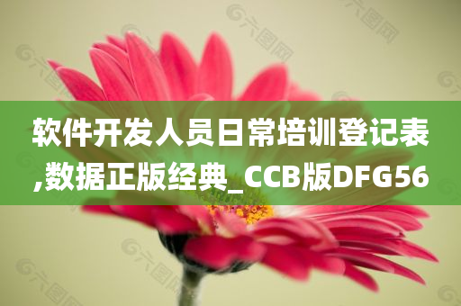 软件开发人员日常培训登记表,数据正版经典_CCB版DFG56