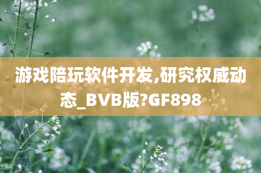 游戏陪玩软件开发,研究权威动态_BVB版?GF898