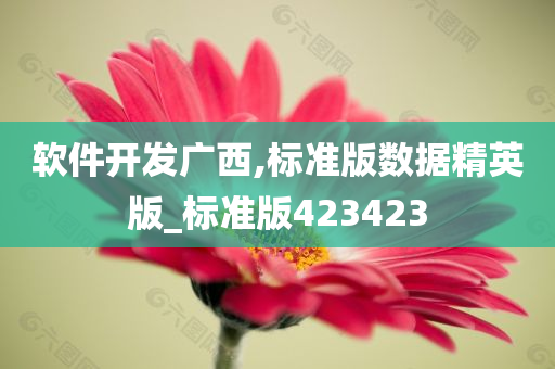 软件开发广西,标准版数据精英版_标准版423423