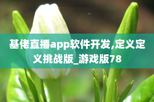 基佬直播app软件开发,定义定义挑战版_游戏版78