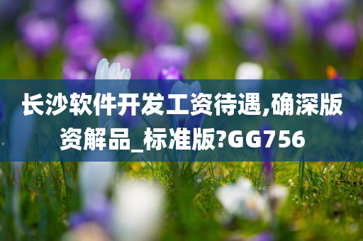 长沙软件开发工资待遇,确深版资解品_标准版?GG756