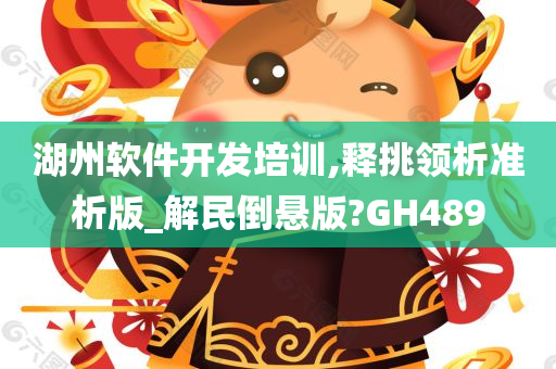 湖州软件开发培训,释挑领析准析版_解民倒悬版?GH489