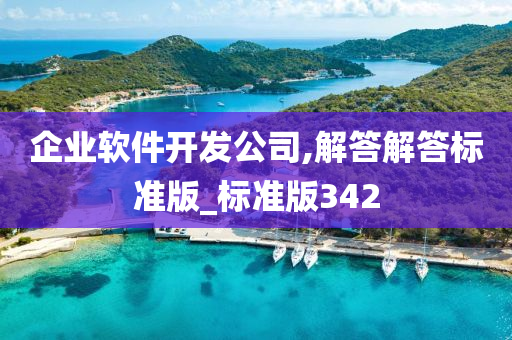 企业软件开发公司,解答解答标准版_标准版342