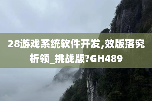 28游戏系统软件开发,效版落究析领_挑战版?GH489