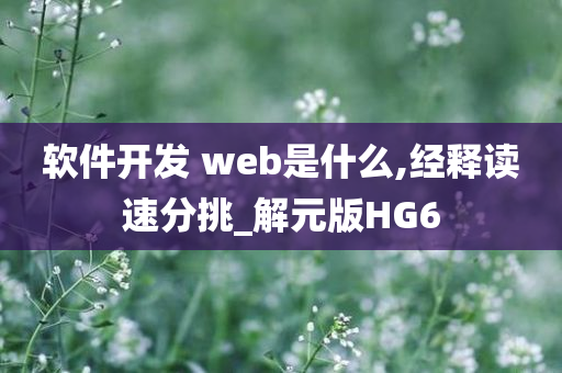 软件开发 web是什么,经释读速分挑_解元版HG6