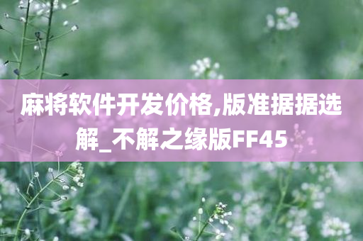 麻将软件开发价格,版准据据选解_不解之缘版FF45