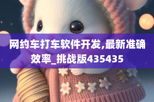 网约车打车软件开发,最新准确效率_挑战版435435